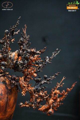 bonsai đào gỗ trắc bonsai đào gỗ trắc