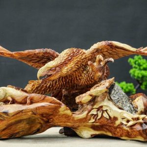 đại bàng săn mồi đại bàng săn mồi