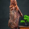 cá chép hoá rồng nu cẩm cá chép hoá rồng nu cẩm