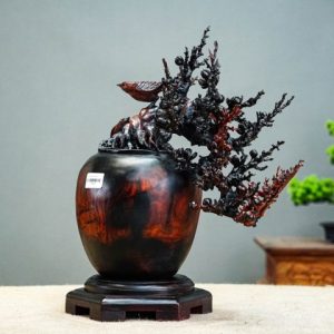 bonsai đào gỗ trắc bonsai đào gỗ trắc