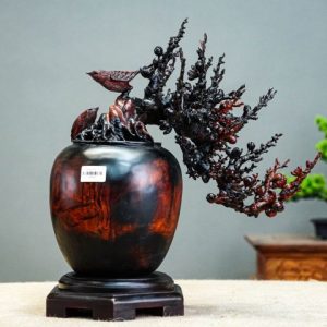 bonsai đào gỗ trắc