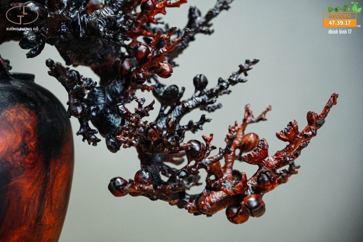 bonsai đào gỗ trắc bonsai đào gỗ trắc