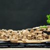 tiểu cảnh đàn hương tiểu cảnh đàn hương