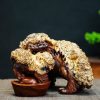 lân sư nu cẩm lân sư nu cẩm