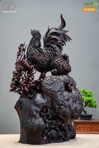 gia đình gà nu tử đàn gia đình gà nu tử đàn