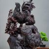 gia đình gà nu tử đàn