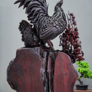 gia đình gà nu tử đàn gia đình gà nu tử đàn