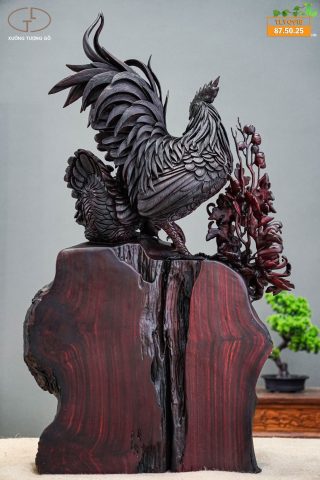 gia đình gà nu tử đàn gia đình gà nu tử đàn
