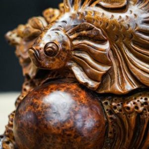 cá xiêm nu hương cá xiêm nu hương