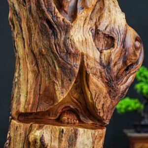đạt ma nu hương đạt ma nu hương