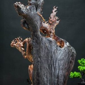 nhất long gỗ cẩm nhất long gỗ cẩm