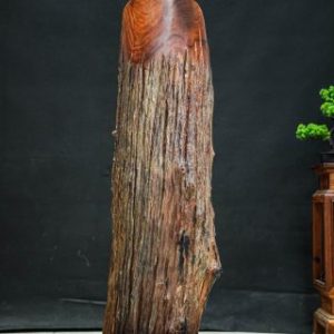 đạt ma nu Hương