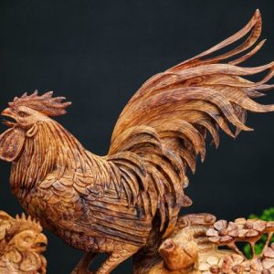 gia đình gà gỗ hương gia đình gà gỗ hương