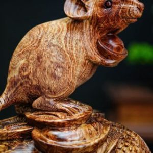 Chuột gỗ cẩm Chuột gỗ cẩm