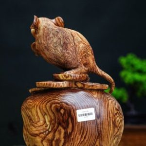 Chuột gỗ cẩm Chuột gỗ cẩm