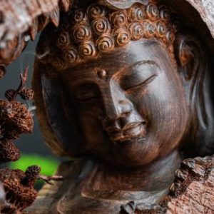 Nhất tâm bái phật gỗ trắc Nhất tâm bái phật gỗ trắc