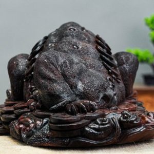 thiềm thừ gỗ trắc