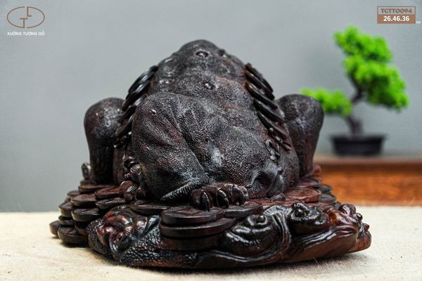 thiềm thừ gỗ trắc