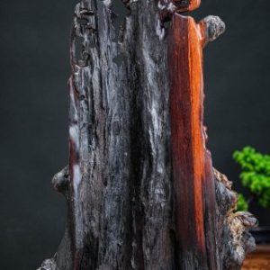 nhất tâm bái phật quan âm nhất tâm bái phật quan âm