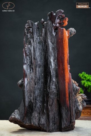 nhất tâm bái phật quan âm nhất tâm bái phật quan âm
