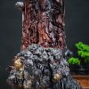 nhất tâm bái phật quan âm nhất tâm bái phật quan âm