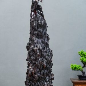 đạt ma nu cẩm đạt ma nu cẩm