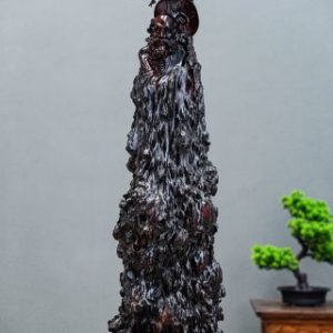 đạt ma nu cẩm