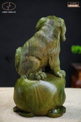 chó trắc gỗ xanh