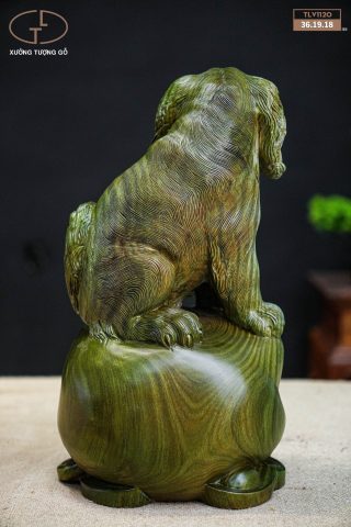 chó trắc gỗ xanh chó trắc gỗ xanh