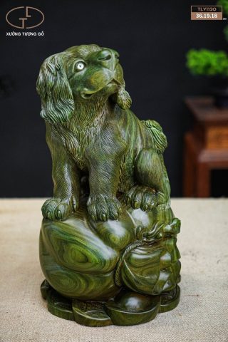 chó trắc gỗ xanh chó trắc gỗ xanh