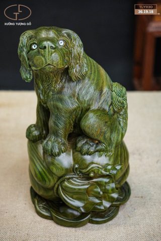 chó trắc gỗ xanh chó trắc gỗ xanh