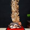 chim trĩ hoa mai chim trĩ hoa mai