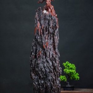 Đạt ma nu cẩm