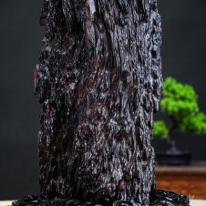 Đạt ma nu cẩm