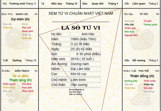 xem bói tử vi 2019 tổng quan