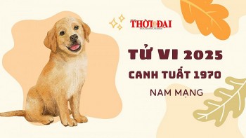 Tử vi tuổi Canh Tuất nữ mạng năm 2024: Dự đoán vận mệnh, tài lộc, sức khỏe & hóa giải hạn trong năm Giáp Thìn