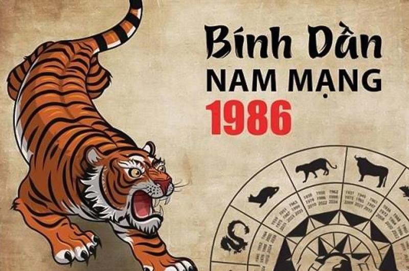 Tử vi tuổi Bính Dần 1986 năm 2024 nam mạng: Luận giải chi tiết vận hạn & cách hóa giải chuẩn phong thủy