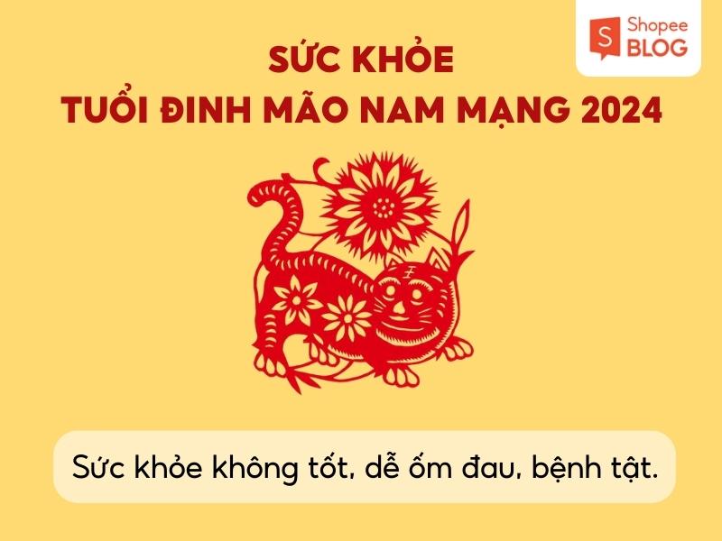 vận trình tử vi 1987 năm 2024