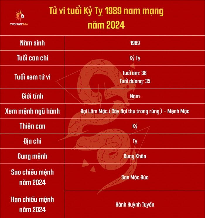 sao chiếu mệnh tuổi kỷ tỵ 2024