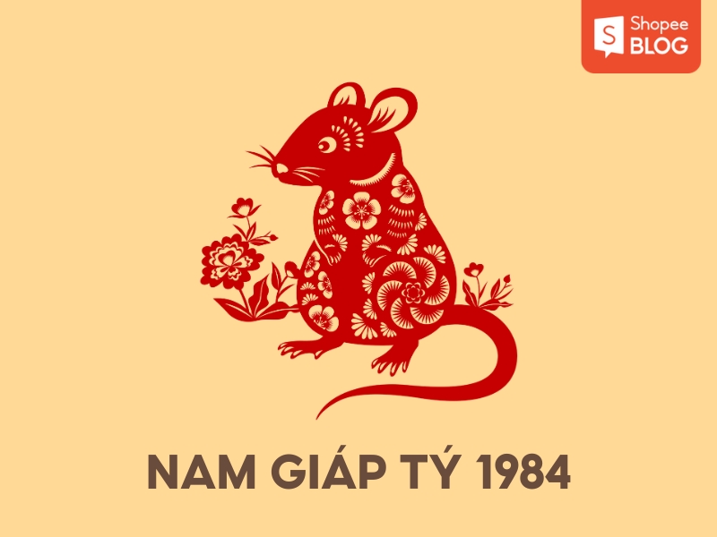 tử vi tuổi giáp tý năm 2024 nam mạng