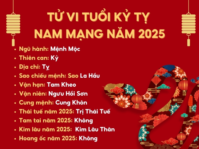 Tử vi tuổi Kỷ Tỵ năm 2025 nam mạng