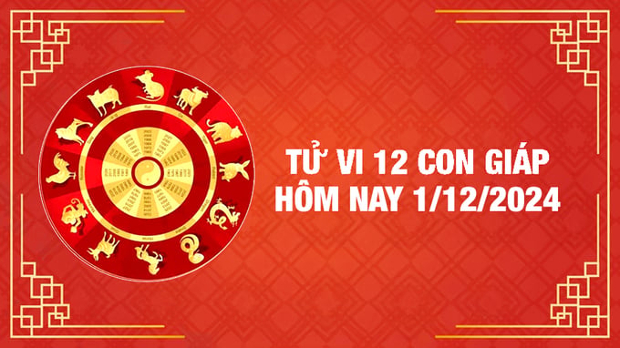 Tử vi tuổi Tý ngày 1/12