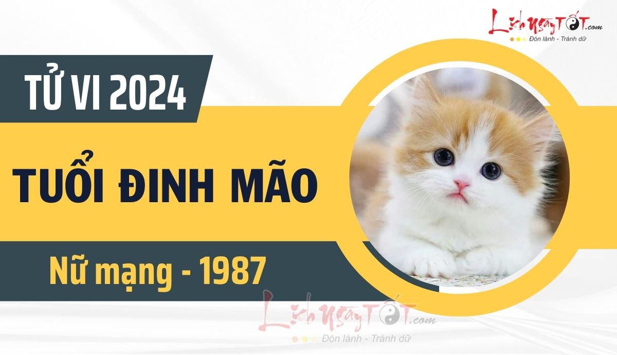 Tử vi tuổi Đinh Mão năm 2024 nữ mạng: Dự báo vận hạn – tài lộc – tình duyên chi tiết nhất