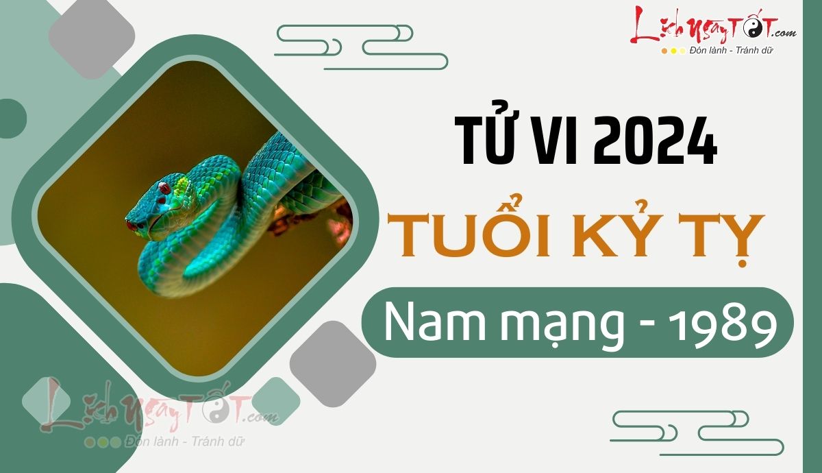 Tử vi tuổi Kỷ Tỵ năm 2024 nam mạng: Luận giải chi tiết vận hạn & cơ hội nổi bật