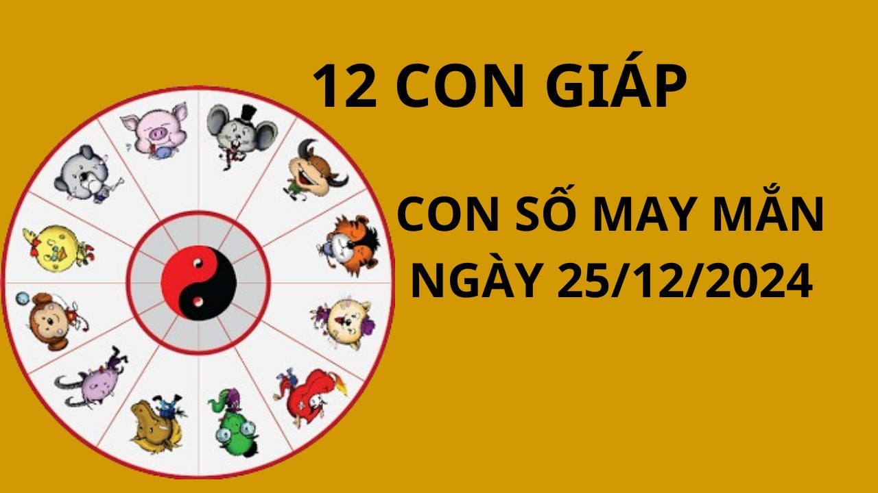 Tử vi ngày 25/12 của 12 con giáp: Dự đoán vận trình công việc – tài lộc – tình duyên hôm nay Tử vi tuổi Tý 25/12