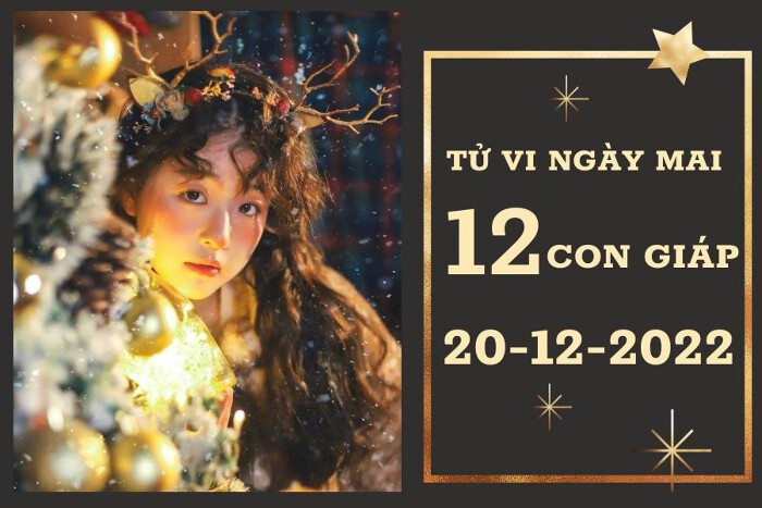 Tử Vi Ngày 20/12 Của 12 Con Giáp: Dự Báo Vận Trình Hôm Nay Chính Xác & Toàn Diện