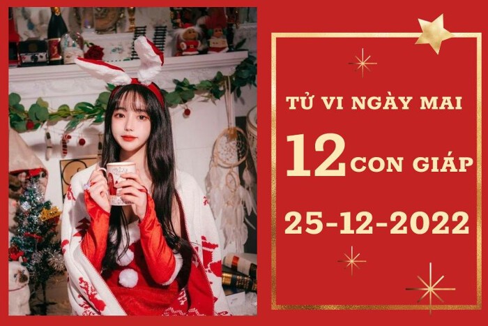 Tử vi ngày 25/12 của 12 con giáp: Dự đoán vận trình công việc – tài lộc – tình duyên hôm nay