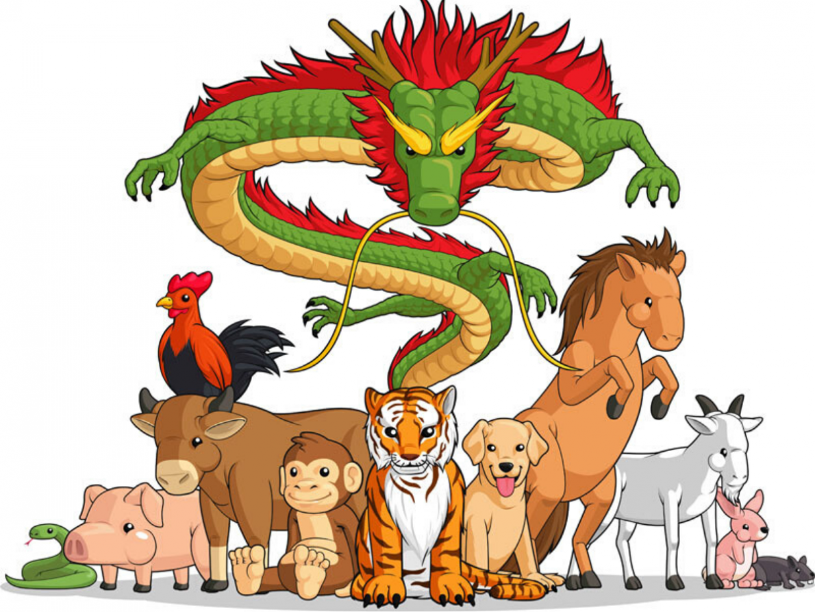 Tử vi ngày 13/12 của 12 con giáp: Dự báo chi tiết tài lộc – sự nghiệp – tình duyên