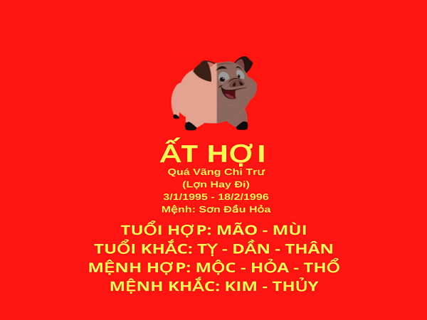 Nam nữ tuổi Ất Hợi 1995 ý nghĩa phong thủy