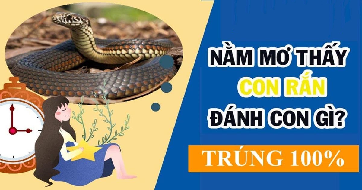 Rắn cắn vào chân trong giấc mơ đánh đề số mấy